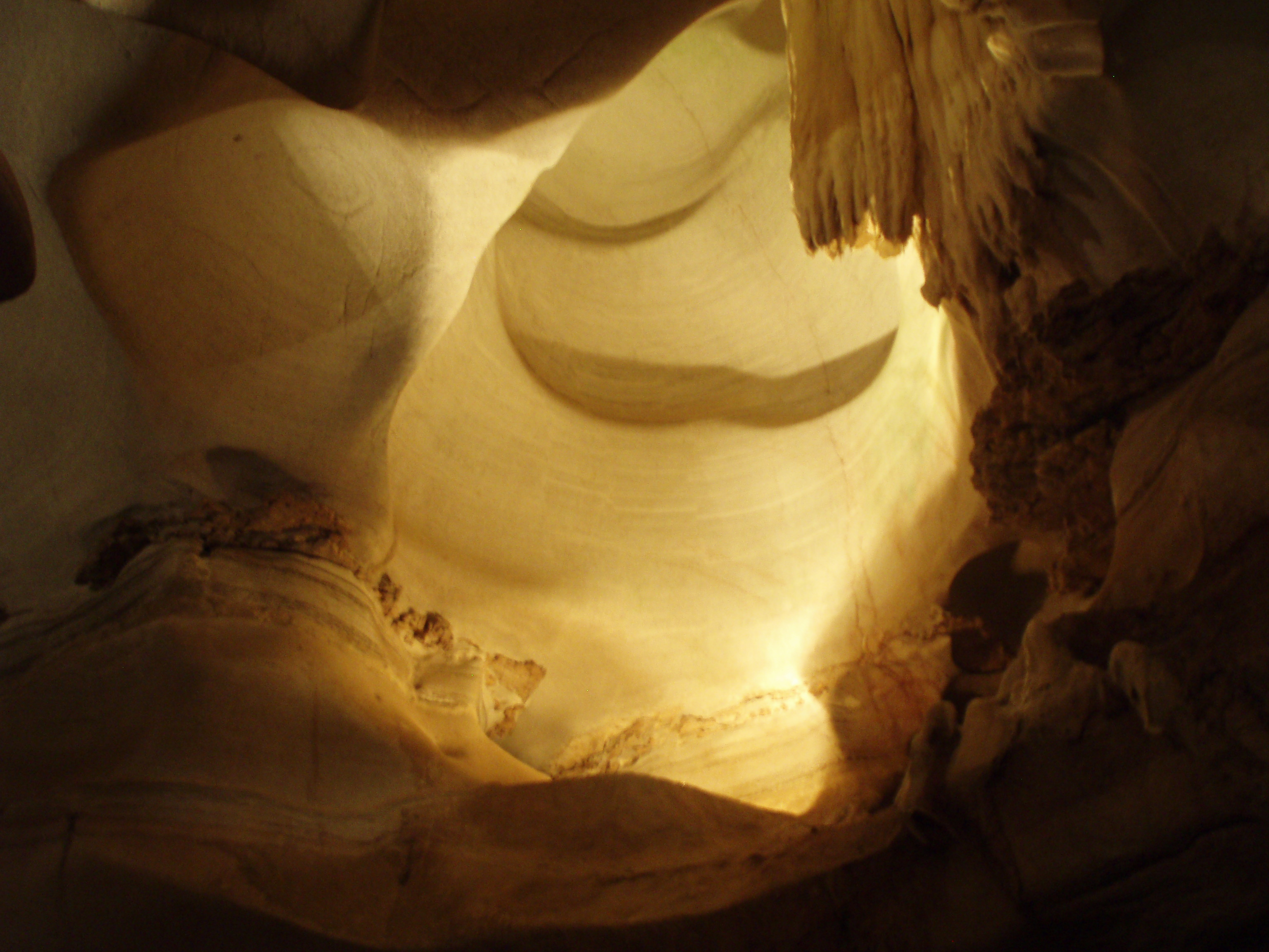 Bats & Bat Caves in Texas (TX) Hill Country